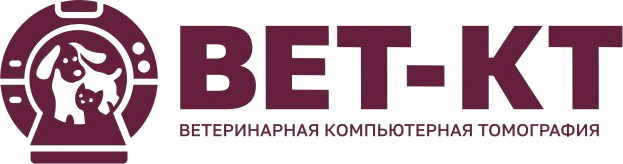 КТ для животных в Пскове – Вет-КТ